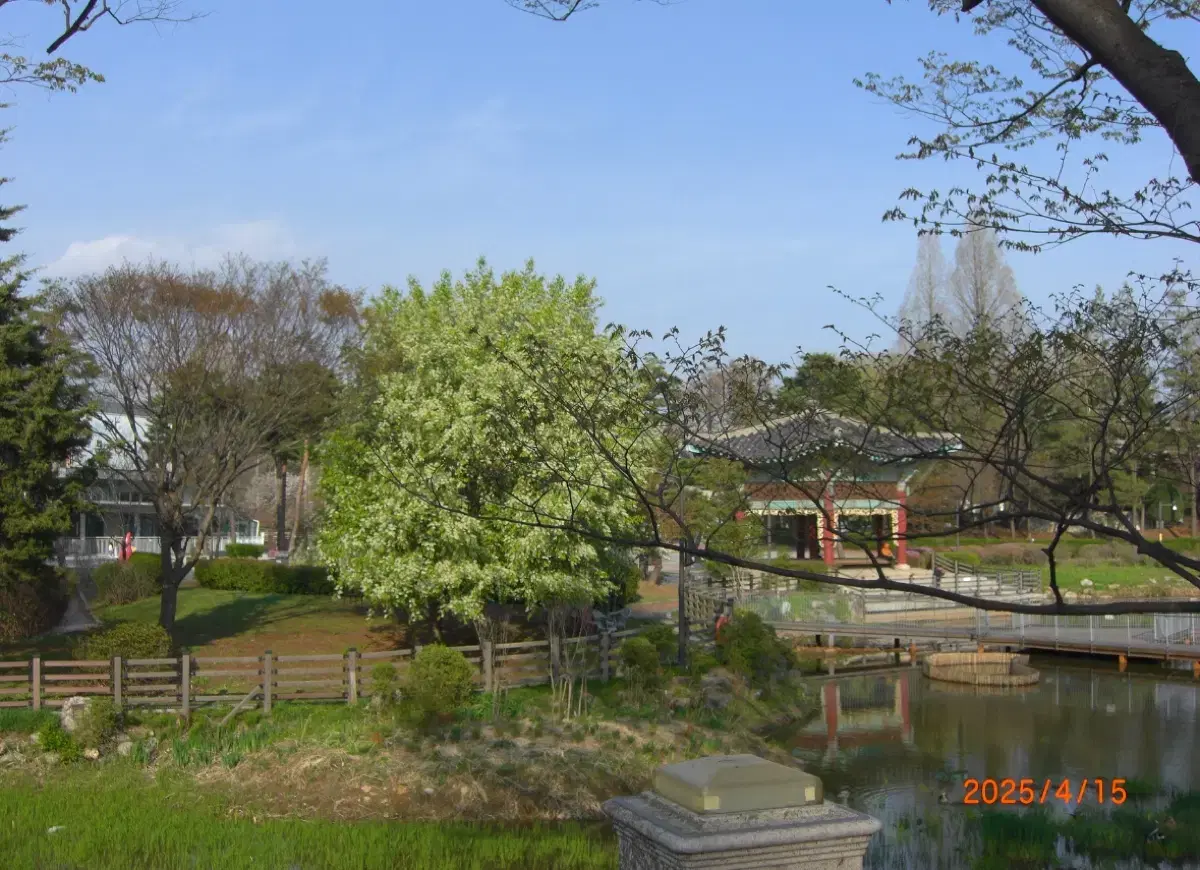thumbnail-8